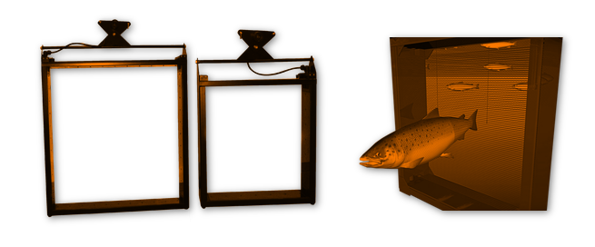 Biomass Daily frames